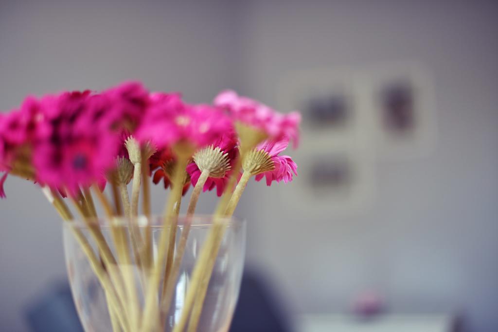 Apartamenty W Sercu Chelmna เคล์มโน ห้อง รูปภาพ